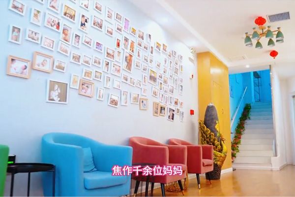视频展示